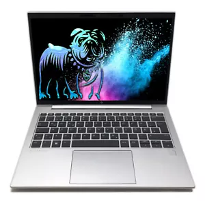 HP EliteBook 830 G9 13,3" Notebook WUXGA i5-1235U 8GB DDR5 256GB FPR Win11P NEU - Bild 1 von 5