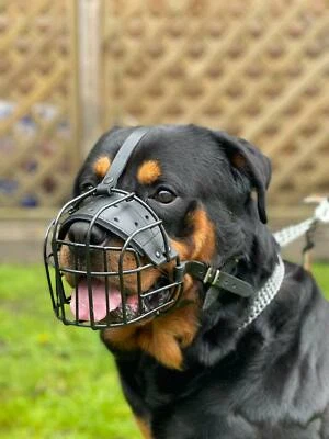 CHAMPION FOR L&J PETS UK Strong Metal Rubber Coated Wire , Basket Dog Muzzle Rottweiler Mastiff & other