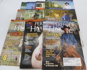 JOHN LYONS PERFECT HORSE MAGAZINE lot of 11 Issues 2006 only missing December - Picture 1 of 12