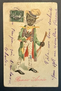 Vintage Halloween Postcard Anthropomophic Cool French Black Cat Musician 171 - Picture 1 of 7