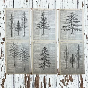 Hand Drawn Pine Tree Themed  Dictionary Page Art Prints Set (6) Wall Decor - Picture 1 of 3