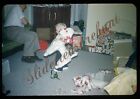 Boy Dog Stuffed Animal Plush Americana 1950s 35mm Slide Red Border Kodachrome