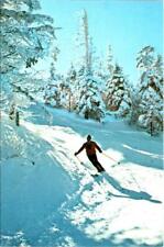 Stratton Mountain, VT Vermont  HERMANN GOELLNER~Acrobatic Skier SKIING Postcard