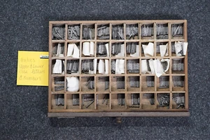 Letterpress Metal Type, small Italics - letters & numbers, wooden tray (2599) - Picture 1 of 10