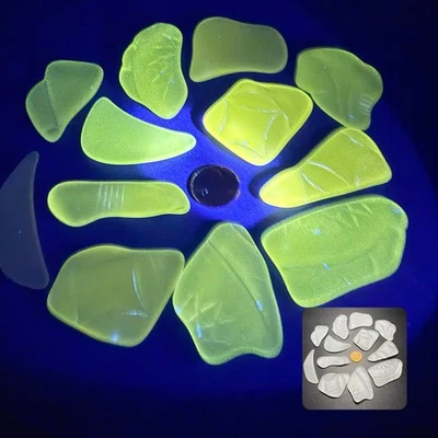 Beach Glass Lot of 12 Tumbled Depression Glass Manganese UV Glows Green #1399 - Image 1 of 4