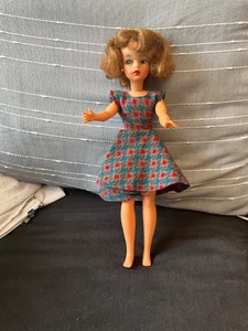 Vintage 1962? BS - 12 1 Muñeca Tammy Ideal con Vestido, Bragas, Sujetador En muy buena condición - Imagen 1 de 13