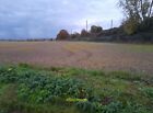 Photo 12x8 Field by Wych Elm Lane, Woolmer Green The railway is on the rig c2021
