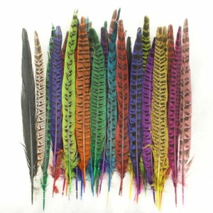 Colgante de plumas de faisán hágalo usted mismo adornos artesanales de color teñido 25-35 cm/10-14 pulgadas - Imagen 1 de 25