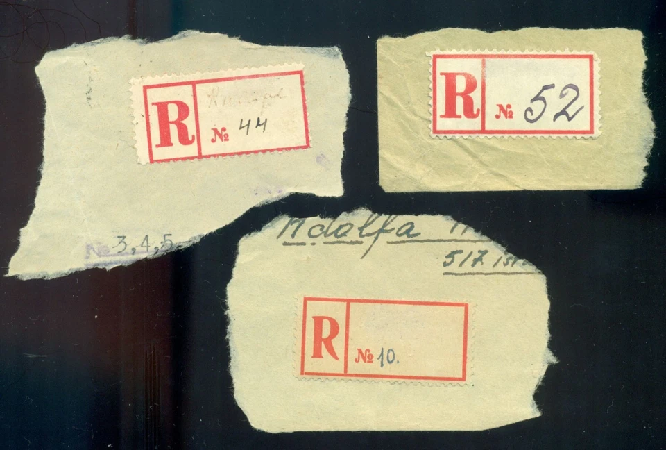 LOTE DE 3 PEGATINAS ETIQUETA REGISTRO LETONIA 'R" en CORTADO AÑOS 30 Foto 1 de 1