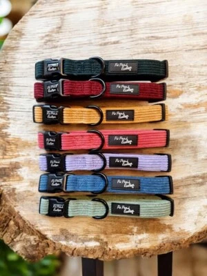 Luxury Cord Dog/Puppy Collar in Red, Green, Yellow, Blue, Purple, Pink XS-L - Image 1 of 3