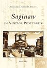 SAGINAW IN VINTAGE POSTCARDS (MI) (POSTCARD HISTORY By Roberta Morey *Excellent*