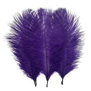 50pcs 8-10inches Ostrich Feathers Craft for Wedding Party centerpieces Home D... - Picture 1 of 5