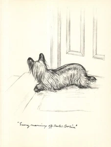 Antiker Skye Terrier Druck 1936 Vernon Stokes Hund Kunst Illustration 6459w - Bild 1 von 1