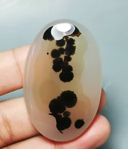 Pietra pandent agata muschio dendritico incredibile lucido naturale Reiki guarigione - Foto 1 di 9