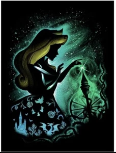 Disneys Dornröschen Diamond Painting Set - Bild 1 von 1