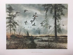 David Hagerbaumer Middle Fork Wigeon Teal Sprig Duck Pintail Remarque Art Print - Picture 1 of 2