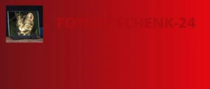 fotogeschenk-24.de - Die optimale Domain für einen Fotogeschenke-Onlineshop - Bild 1 von 1