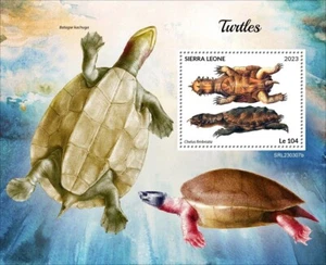 Turtles MNH Stamps 2023 Sierra Leone S/S - Picture 1 of 1