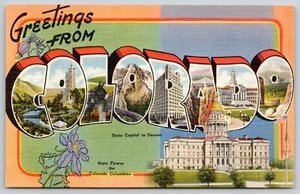 Colorado~State Large Letter Linen Postcard~State Capital~Donkey~Columbine~1940s - Picture 1 of 2