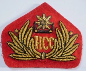 INSIGNIA DE TAPA DE AEROLÍNEA/ENVÍO POSIBLEMENTE DESCONOCIDO - Imagen 1 de 1