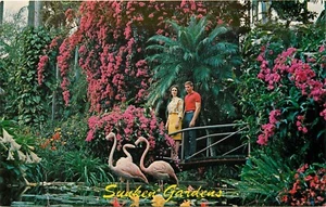 Postal Sunken Gardens St. Petersburg Florida FL - Imagen 1 de 2