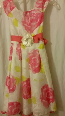 Vestido para Niñas Dollie & Me Formal Boda Rosa Verde Floral Rosa Sin Mangas Talla 8 Foto 1 de 4