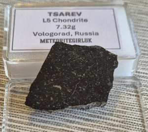 Tsarev L5 Chondrite 7.32g Russian Fall 1968 Meteorite Slice - Picture 1 of 7