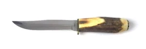 2007 CASE XX STAG HUNTING KNIFE MADE IN THE USA 565-5 SS NOS - Picture 1 of 7