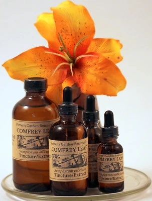 Extracto de HOJA DE CONSUELDA descongestionante inflamación MTC orgánico remedio popular tintura Foto 1 de 2