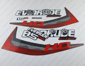 Evinrude 15 hp ETEC H.O. 2011-2014 outboard engine decals set Graphite Cowl - Picture 1 of 7