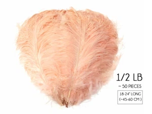 1/2 lb. 18-24" Champagne Ostrich Wing Plumes Wholesale Feathers Wedding Decor - Picture 1 of 8