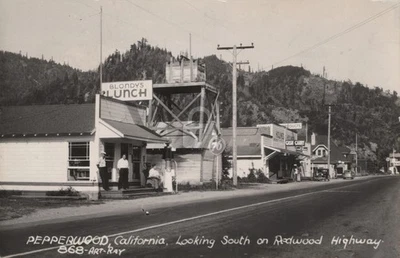 Pepperwood CA Looking South on Redwood Highway 1937 RPPC Photo Postcard Copy - Image 1 of 2