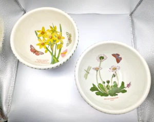 Set of two Portmeirion Botanic Garden Narcissus and Daisy pattern - Picture 1 of 8