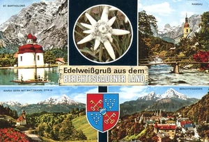 Edelweißgruß aus dem Berchtesgadener Deutschland Gruß 1994 Postkarte - Bild 1 von 2