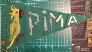 BSA Patrol Flag - "PIMA" - Picture 1 of 1