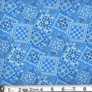 Bandana Blazin Tela Azul Turquesa Cuarto Graso 18" x 22", Acolchado - Imagen 1 de 2