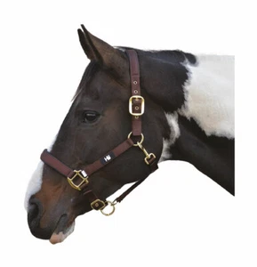 Hy Grand Prix Head Collar-Chocolate Brown-Pony - Picture 1 of 1