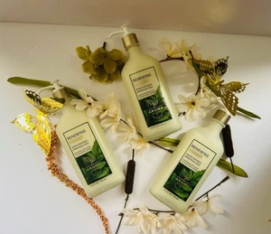 2 Bath & Body Works Aroma RENEWING FOREST Body Lotion 6.5 oz - Picture 1 of 1
