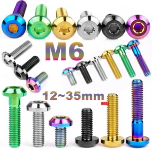 Titanium Bolts M6 Umbrella Inner Hex Head Ti Screws for Bike Motorcycle Fastener - Picture 1 of 17