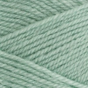 Hilo De Lana Stylecraft Life DK Doble Hilo 100g - 2342 Menta - Imagen 1 de 1