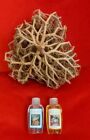 Xl Real Rose Of Jericho Resurrection Plant And Eau Benite And Huile Donction 50 Ml