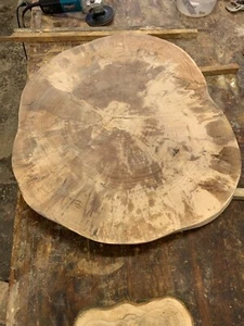 Baumscheibe, Holzscheibe, ca. 70x50x5cm geschliffen - Bild 1 von 1