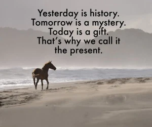 Inspirational    horse quote refrigerator magnet  3 1/2"x 4 1/2" Made in the USA - Picture 1 of 1