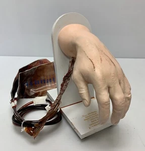 Nasco Life/Form LF01139 Advanced IV Manikin Allenatore infermieristico medico mano bianca - Foto 1 di 10