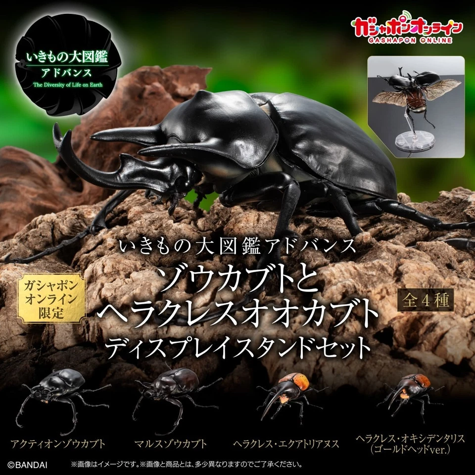 The Diversity of Life on Earth Megasoma Hercules Beetle Figure w/ Display Stand - Image 1 of 4