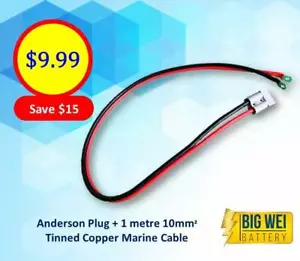 Anderson Plug + 1 metre 10mm² Tinned Copper Marine Cable - Picture 1 of 1