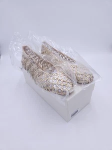 Tuckernuck Shoes Woven Nina Flats - Champagne Nwt Size 9 - Picture 1 of 11