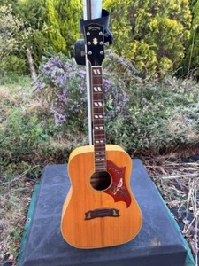 Kiso Suzuki W-65DA Quilted Maple Dove Style Vintage Acoustic Guitar From JAPAN - Picture 1 of 10