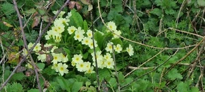 HP  T610 Service Station For T610 T1100  **NEW** Inc Vat HP Q6683-60187 - Picture 1 of 1