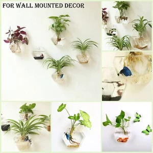 3 Pack Wall Hanging Glass Planter Hexagon Terrarium Home Office Decor Vase - Picture 1 of 8